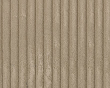 Load image into Gallery viewer, SimpleJoy Loveseat