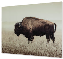 Load image into Gallery viewer, Brutus