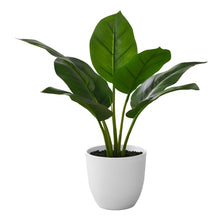 Load image into Gallery viewer, ARTIFICIAL PLANT - 17"H AUREUM