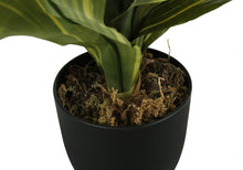 Load image into Gallery viewer, ARTIFICIAL PLANT - 17"H DRACAENA