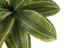 Load image into Gallery viewer, ARTIFICIAL PLANT - 17"H DRACAENA