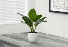 Load image into Gallery viewer, ARTIFICIAL PLANT - 17"H AUREUM