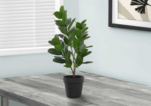 Load image into Gallery viewer, ARTIFICIAL PLANT - 28"H GARCINIA