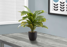 Load image into Gallery viewer, ARTIFICIAL PLANT - 17"H DRACAENA