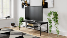 Load image into Gallery viewer, Lynxtyn 48" TV Stand