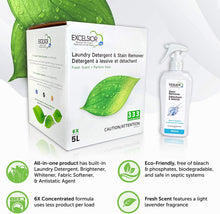 Load image into Gallery viewer, Excelsior HE Laundry Detergent - 2 scents