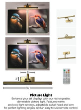Load image into Gallery viewer, Picture Light
