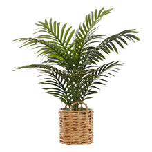 Load image into Gallery viewer, ARTIFICIAL PLANT - 24&quot;H Palm
