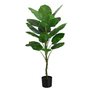 ARTIFICIAL PLANT - 54"H DIEFFENBACHIA