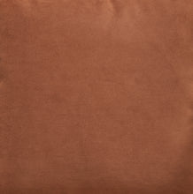 Load image into Gallery viewer, Caygan Accent Pillow
