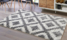 Load image into Gallery viewer, Junette Large Area Rug
